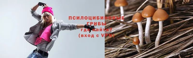 Галлюциногенные грибы Psilocybe  где найти наркотики  блэк спрут маркетплейс  Киселёвск 